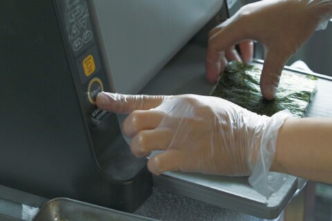 Image Not Found On Media Library